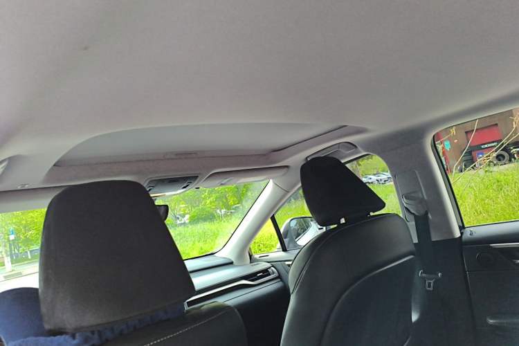 Used Lexus RX  Headliner