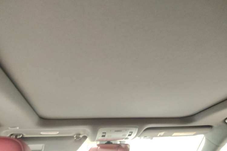 Used Lexus RX  Headliner