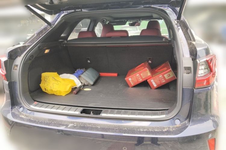 Used Lexus RX  Trunk