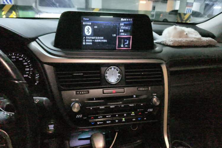 Used Lexus RX 2020 Revised Version 300 Two-Wheel Drive Elite Edition Audio And AC Panel