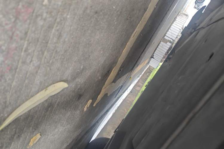 Used Lexus RX 2020 300 4x4 Elegant Edition China VI Chassis Rear Right