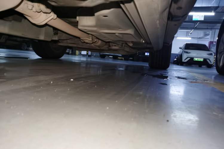 Used Lexus RX 2020 300 Two-Wheel Drive Comfort Edition China VI Standard Chassis Rear Right