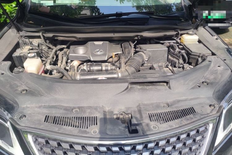 Used Lexus RX 2020 300 Two-Wheel Drive Elite Edition China VI Standard Engine Bay