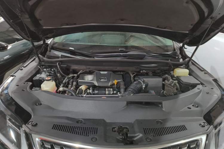 Used Lexus RX 2020 Revised Version 300 Two-Wheel Drive Elite Edition Engine Bay