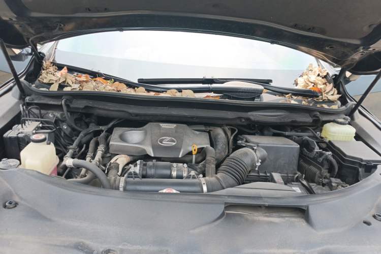 Used Lexus RX 2020 300 4x4 Elegant Edition China VI Engine Bay