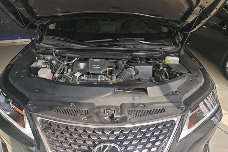 Used Lexus RX 2020 Revised Version 300 Two-Wheel Drive Elite Edition Engine Bay