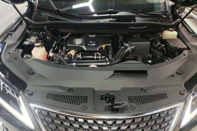 Used Lexus RX 2020 300 Two-Wheel Drive Elite Edition China VI Standard Engine Bay