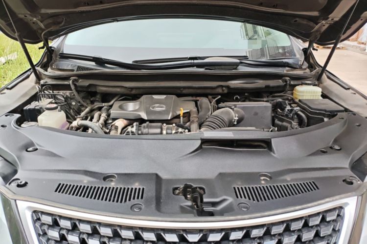 Used Lexus RX 2020 Revised Version 300 Two-Wheel Drive Comfort Edition Engine Bay