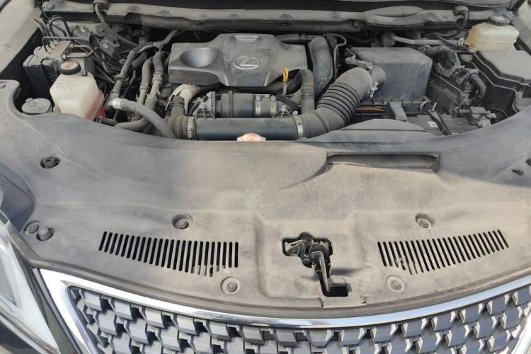 Used Lexus RX 2020 Revised Version 300 Two-Wheel Drive Comfort Edition Engine Bay