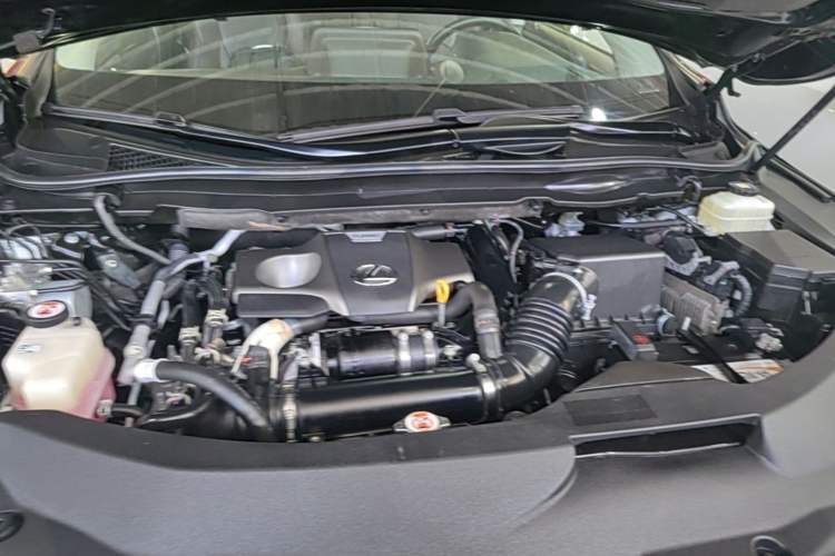 Used Lexus RX 2020 Revised Version 300 Two-Wheel Drive Comfort Edition Engine Bay