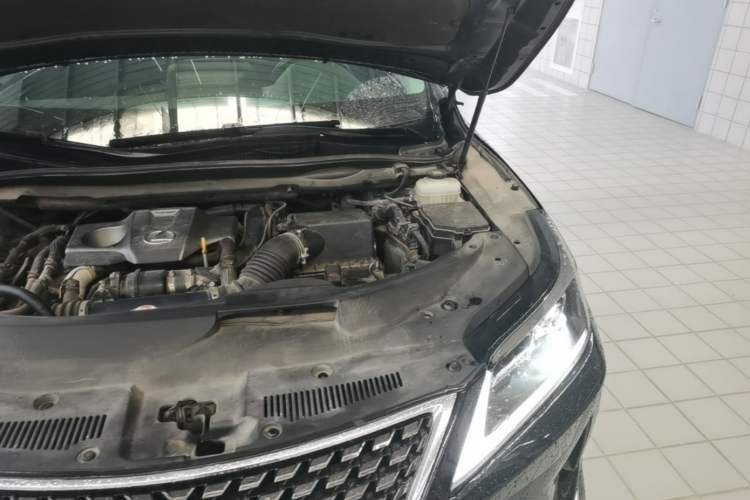 Used Lexus RX 2020 300 Two-Wheel Drive Comfort Edition China VI Standard Engine Bay Left
