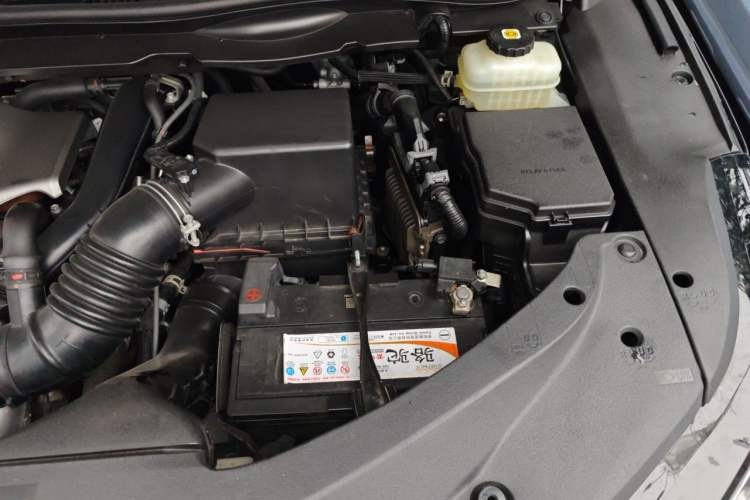 Used Lexus RX 2020 Facelifted 300 4x4 Elegant Edition Engine Bay Left