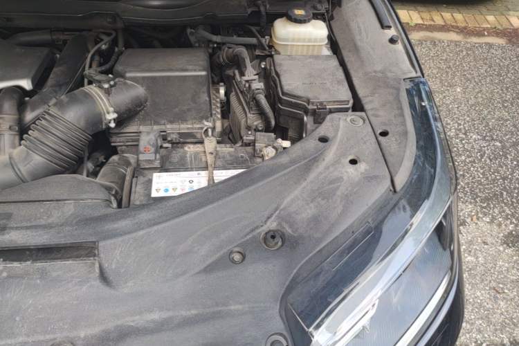 Used Lexus RX 2020 300 Two-Wheel Drive Elite Edition China VI Standard Engine Bay Left