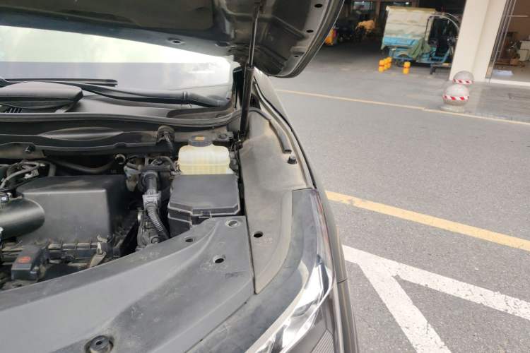 Used Lexus RX 2020 300 4x4 Elegant Edition China VI Engine Bay Left
