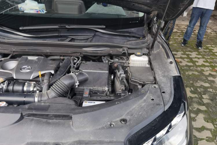 Used Lexus RX 2020 300 4x4 Elegant Edition China VI Engine Bay Left