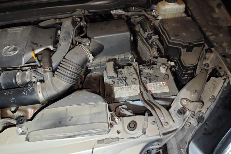 Used Lexus RX 2020 Revised Version 300 Two-Wheel Drive Comfort Edition Engine Bay Left