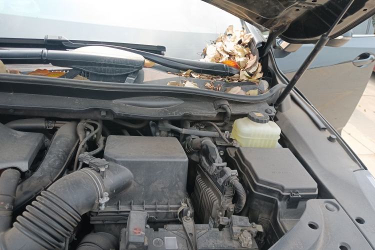 Used Lexus RX 2020 300 4x4 Elegant Edition China VI Engine Bay Left