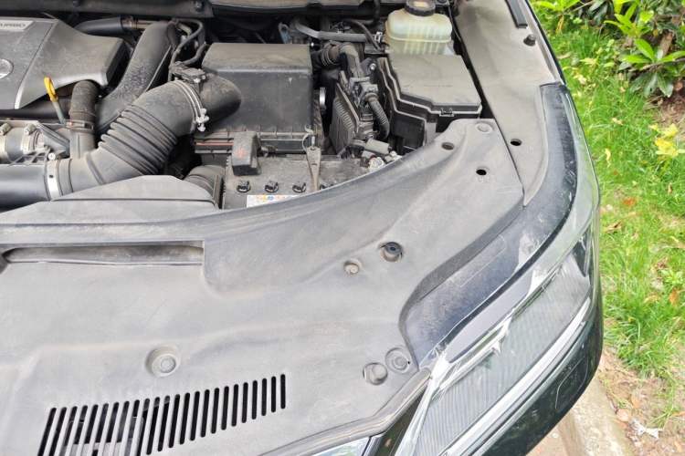 Used Lexus RX 2020 300 Two-Wheel Drive Comfort Edition China VI Standard Engine Bay Left