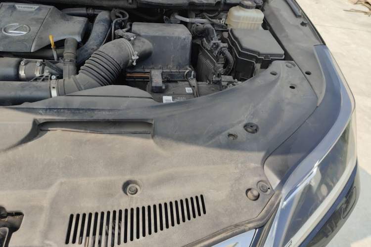 Used Lexus RX 2020 Revised Version 300 Two-Wheel Drive Comfort Edition Engine Bay Left