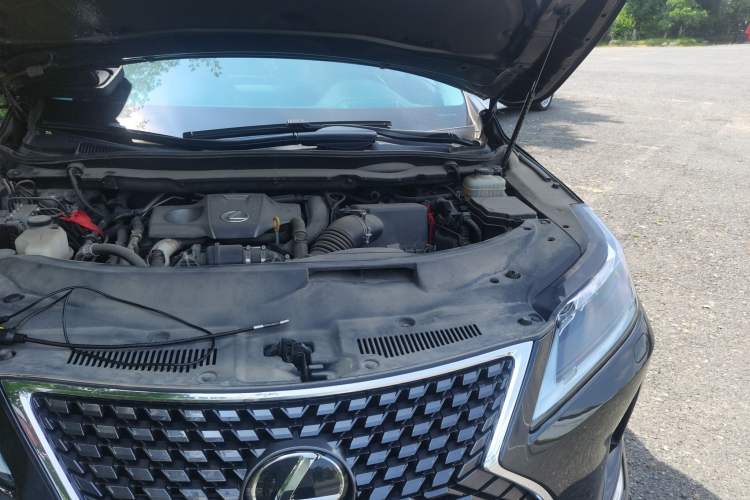 Used Lexus RX 2020 Facelifted 300 4x4 Elegant Edition Engine Bay Left