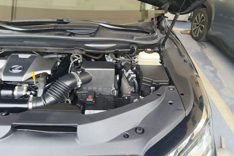 Used Lexus RX 2020 Facelifted 300 4x4 Elegant Edition Engine Bay Left