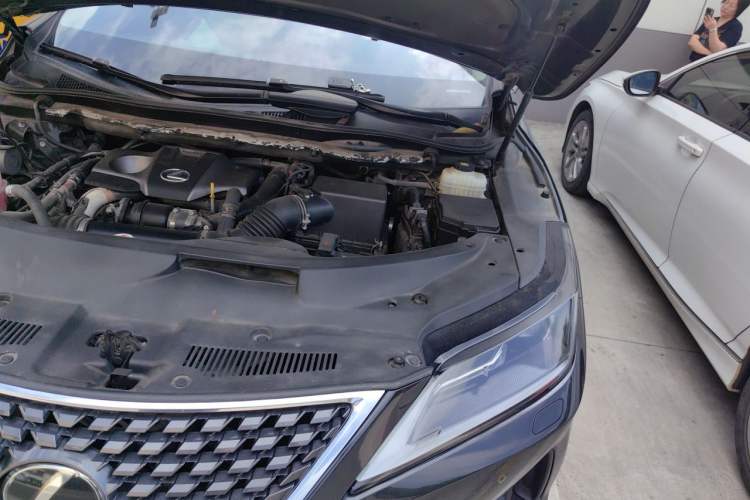 Used Lexus RX 2020 Revised Version 300 Two-Wheel Drive Comfort Edition Engine Bay Left