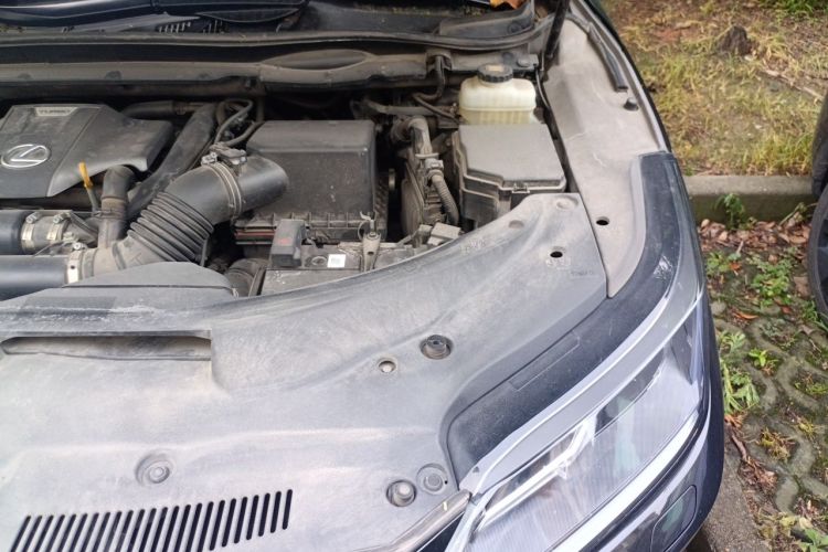 Used Lexus RX 2020 300 Two-Wheel Drive Elite Edition China VI Standard Engine Bay Left
