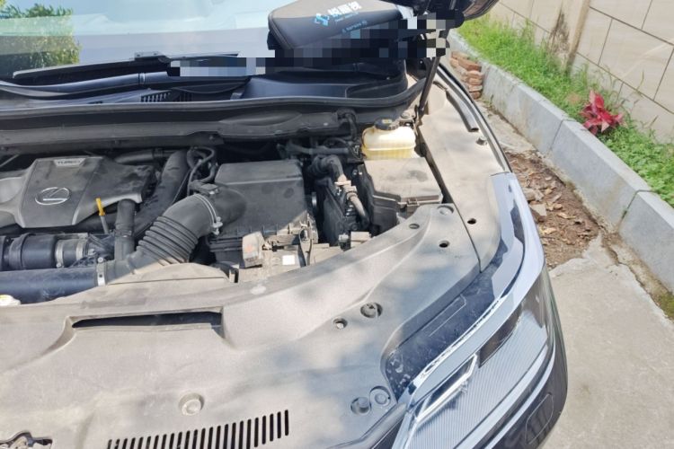 Used Lexus RX 2020 300 Two-Wheel Drive Elite Version China V Standard Engine Bay Left