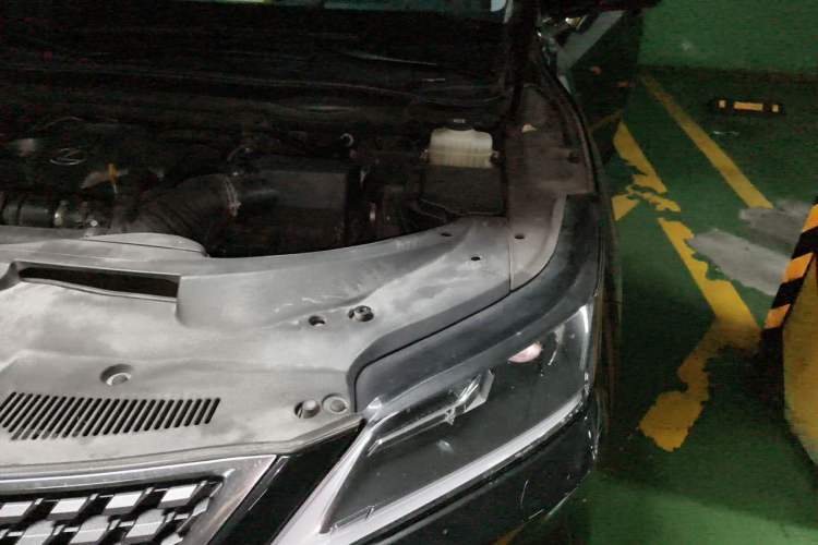 Used Lexus RX 2020 Revised Version 300 Two-Wheel Drive Elite Edition Engine Bay Left