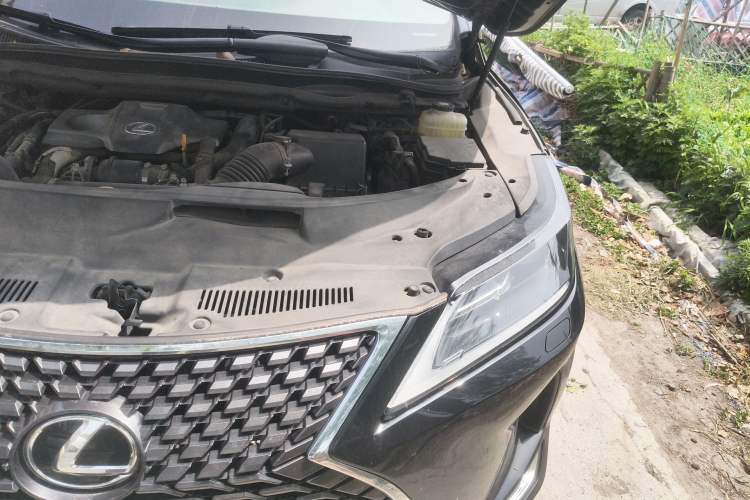 Used Lexus RX 2020 300 Two-Wheel Drive Elite Edition China VI Standard Engine Bay Left