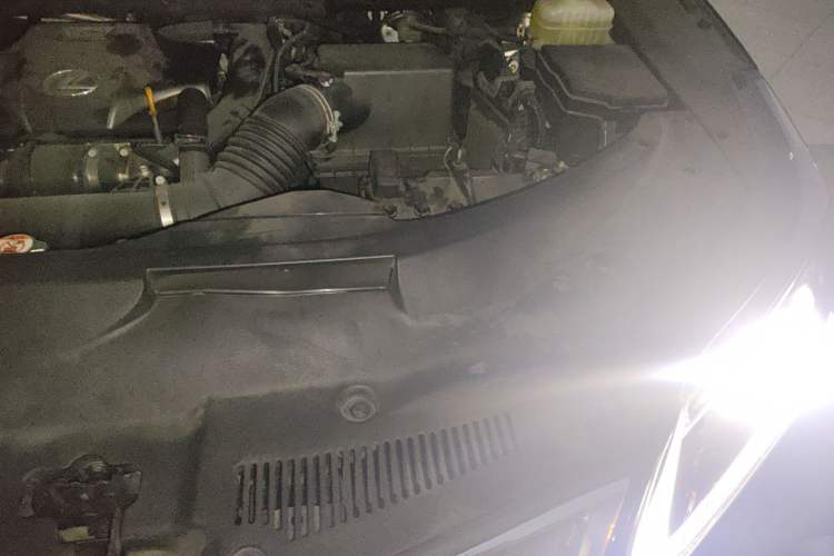 Used Lexus RX 2020 Revised Version 300 Two-Wheel Drive Elite Edition Engine Bay Left