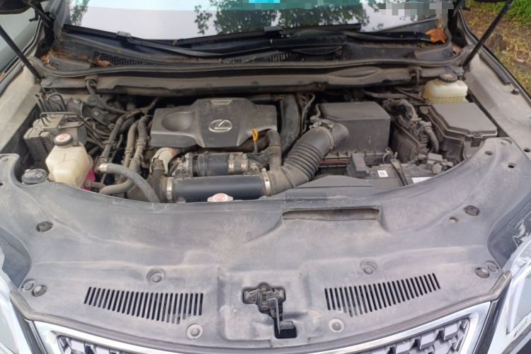 Used Lexus RX 2020 300 Two-Wheel Drive Elite Edition China VI Standard Engine Bay