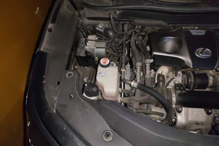 Used Lexus RX 2020 Revised Version 300 Two-Wheel Drive Comfort Edition Engine Bay Right