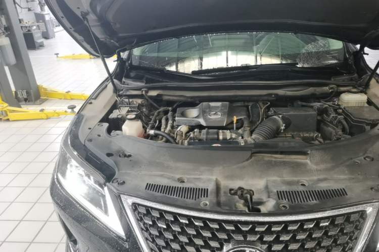 Used Lexus RX 2020 300 Two-Wheel Drive Comfort Edition China VI Standard Engine Bay Right