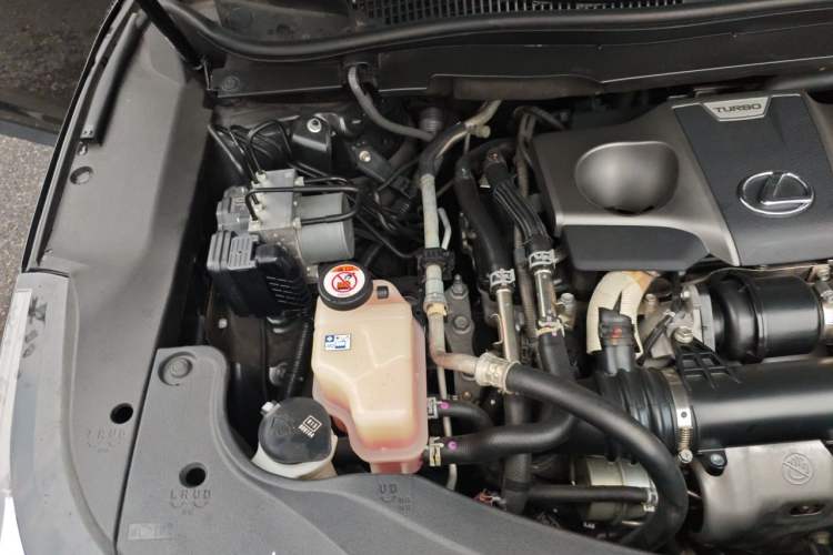 Used Lexus RX 2020 Facelifted 300 4x4 Elegant Edition Engine Bay Right
