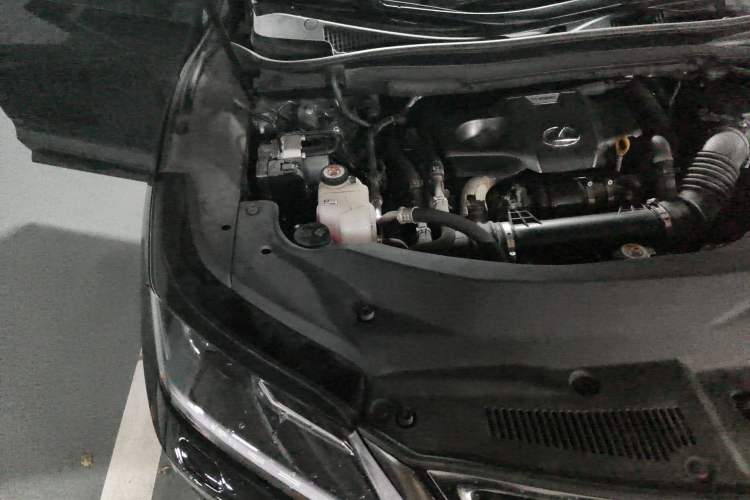 Used Lexus RX 2020 Revised Version 300 Two-Wheel Drive Elite Edition Engine Bay Right