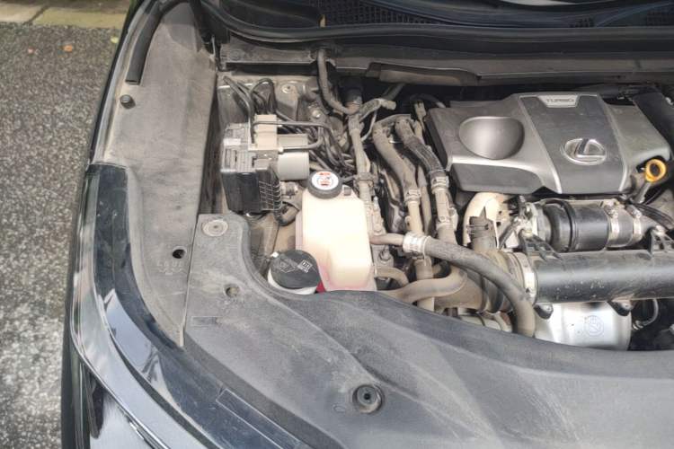Used Lexus RX 2020 300 Two-Wheel Drive Elite Edition China VI Standard Engine Bay Right