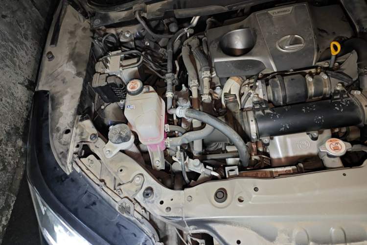 Used Lexus RX 2020 Revised Version 300 Two-Wheel Drive Comfort Edition Engine Bay Right