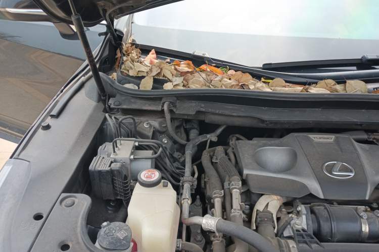 Used Lexus RX 2020 300 4x4 Elegant Edition China VI Engine Bay Right