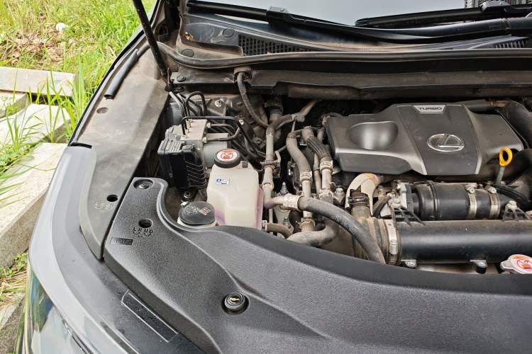 Used Lexus RX 2020 Revised Version 300 Two-Wheel Drive Comfort Edition Engine Bay Right