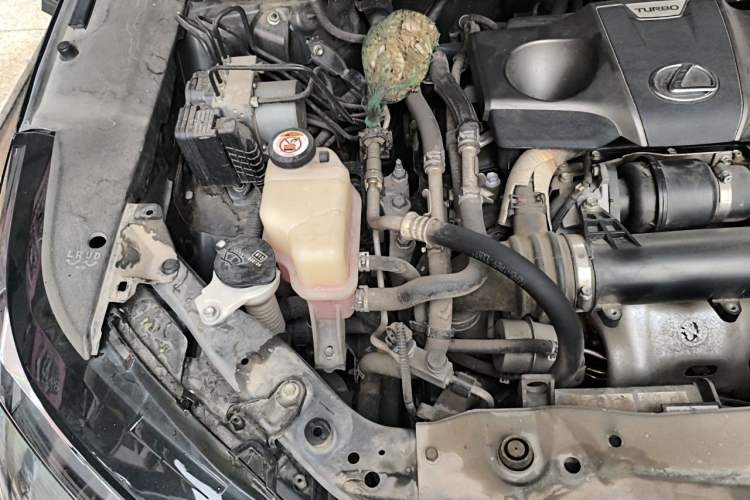 Used Lexus RX 2020 300 4x4 Elegant Edition China VI Engine Bay Right