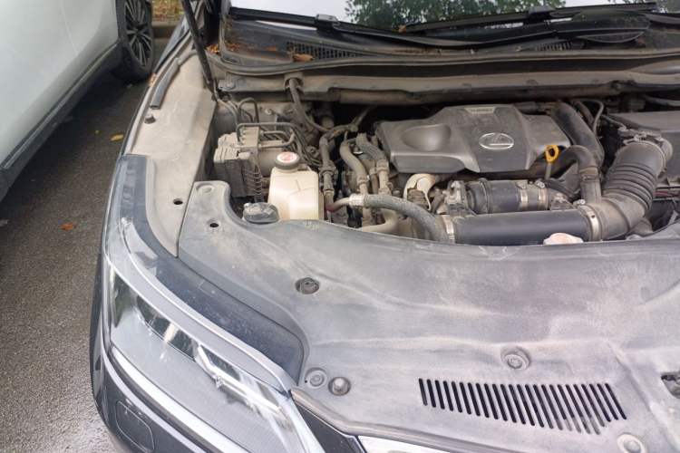 Used Lexus RX 2020 300 Two-Wheel Drive Elite Edition China VI Standard Engine Bay Right