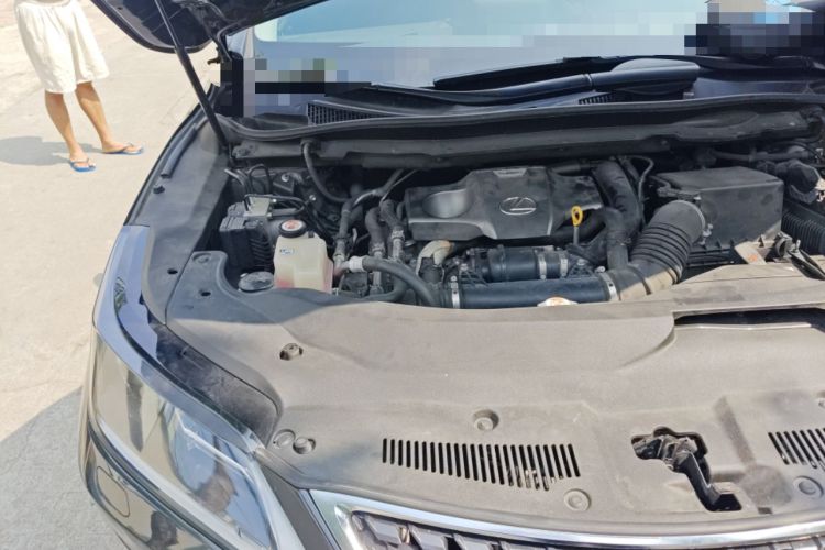 Used Lexus RX 2020 300 Two-Wheel Drive Elite Version China V Standard Engine Bay Right