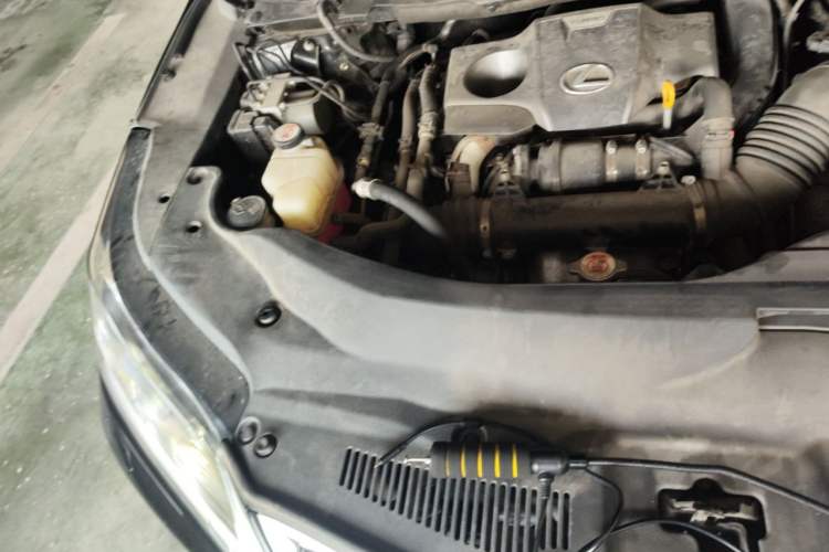 Used Lexus RX 2020 300 4x4 Elegant Edition China VI Engine Bay Right