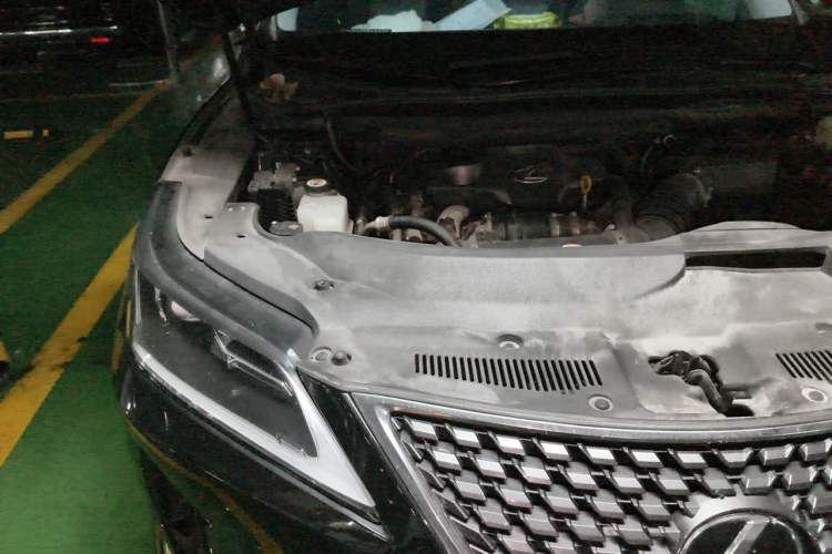 Used Lexus RX 2020 Revised Version 300 Two-Wheel Drive Elite Edition Engine Bay Right