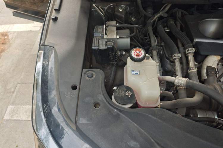 Used Lexus RX 2020 Revised Version 300 Two-Wheel Drive Comfort Edition Engine Bay Right