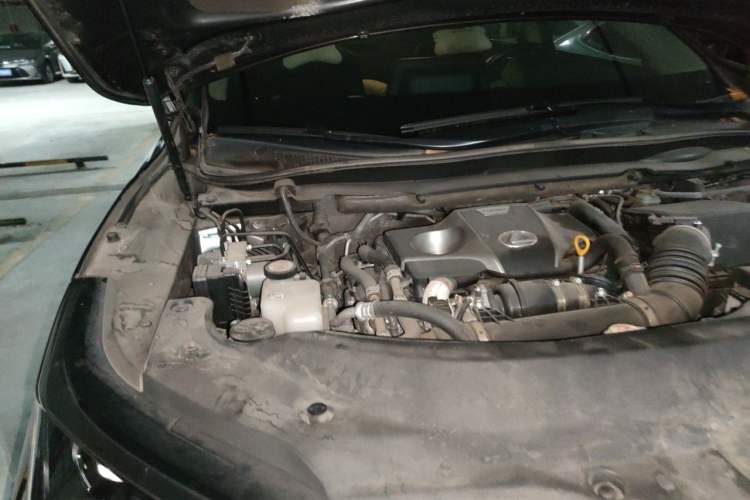 Used Lexus RX 2020 Revised Version 300 Two-Wheel Drive Elite Edition Engine Bay Right