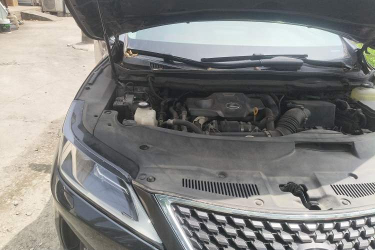 Used Lexus RX 2020 300 Two-Wheel Drive Elite Edition China VI Standard Engine Bay Right