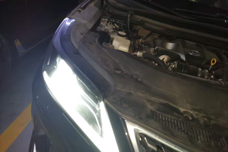 Used Lexus RX 2020 300 Two-Wheel Drive Comfort Edition China VI Standard Engine Bay Right