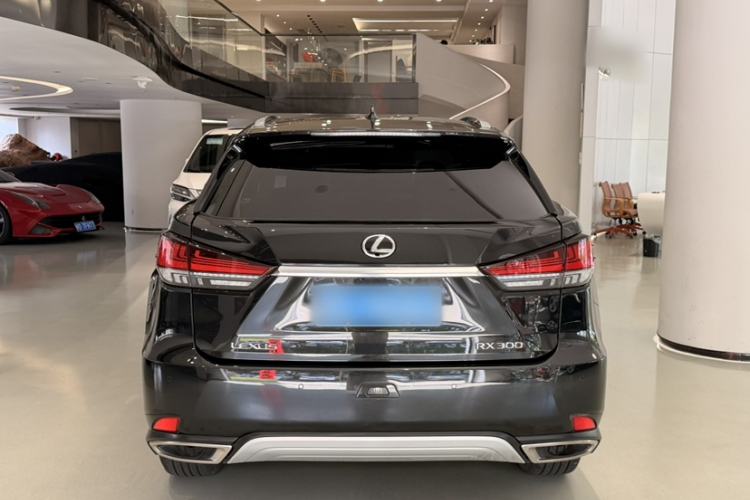 Used Lexus RX 2020 Facelifted 300 4x4 Elegant Edition Exterior 4